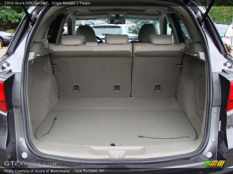 Grigio Metallic / Taupe 2009 Acura RDX SH-AWD