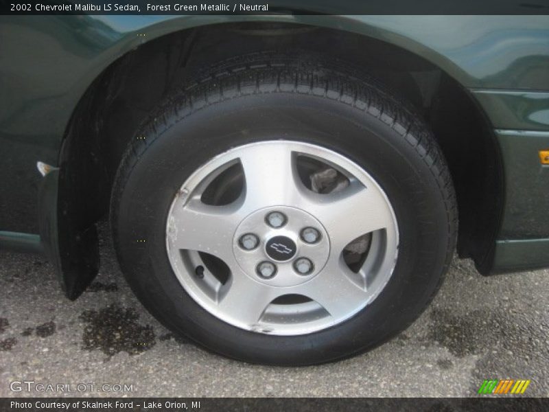 Forest Green Metallic / Neutral 2002 Chevrolet Malibu LS Sedan