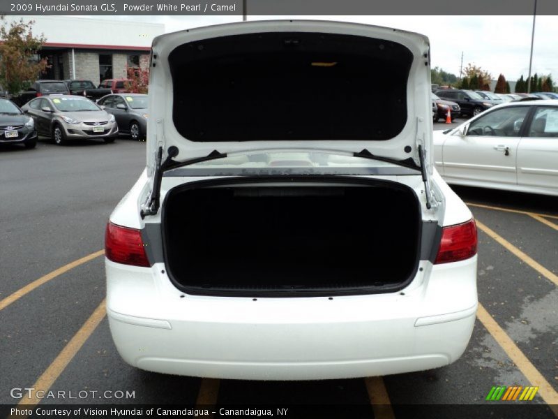 Powder White Pearl / Camel 2009 Hyundai Sonata GLS