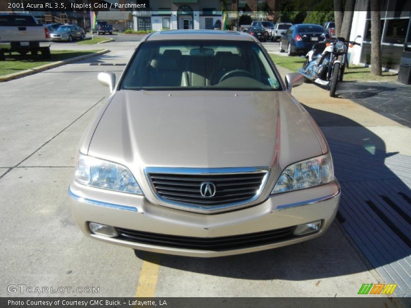 Naples Gold / Parchment 2001 Acura RL 3.5