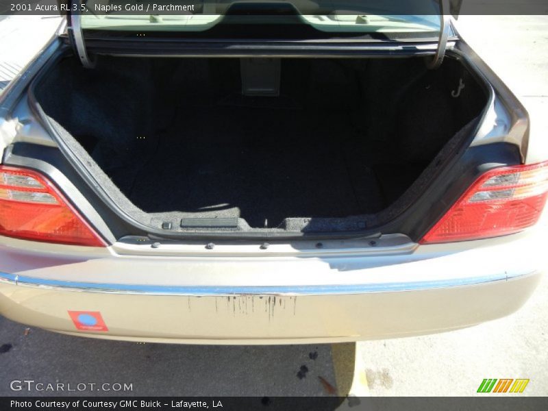 Naples Gold / Parchment 2001 Acura RL 3.5