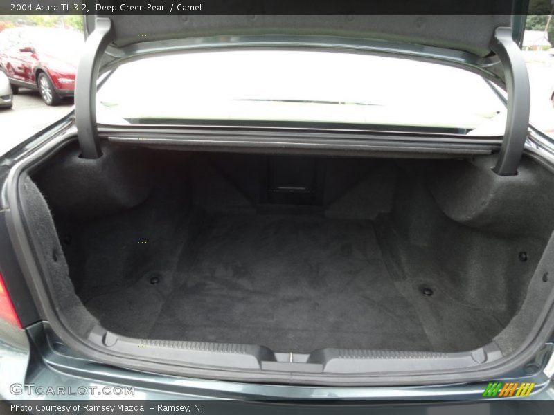 Deep Green Pearl / Camel 2004 Acura TL 3.2