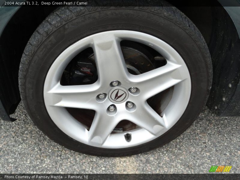 Deep Green Pearl / Camel 2004 Acura TL 3.2