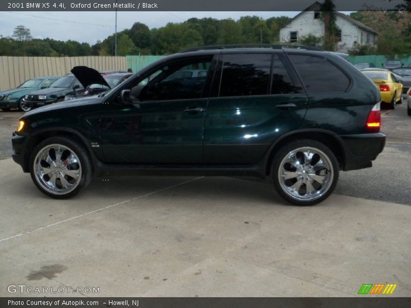 Oxford Green Metallic / Black 2001 BMW X5 4.4i