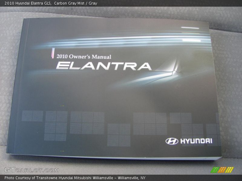 Carbon Gray Mist / Gray 2010 Hyundai Elantra GLS