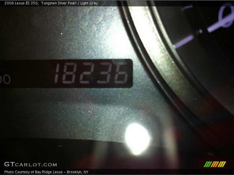 Tungsten Silver Pearl / Light Gray 2009 Lexus ES 350