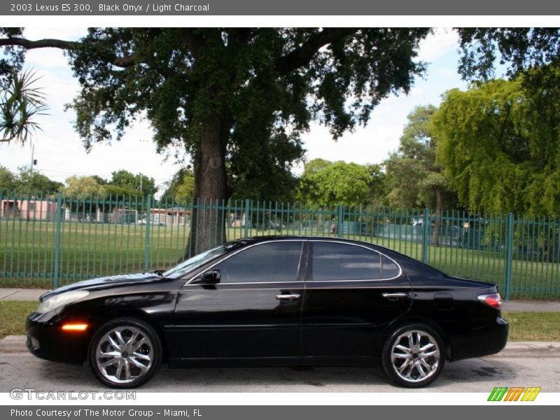 Black Onyx / Light Charcoal 2003 Lexus ES 300