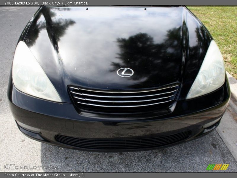 Black Onyx / Light Charcoal 2003 Lexus ES 300