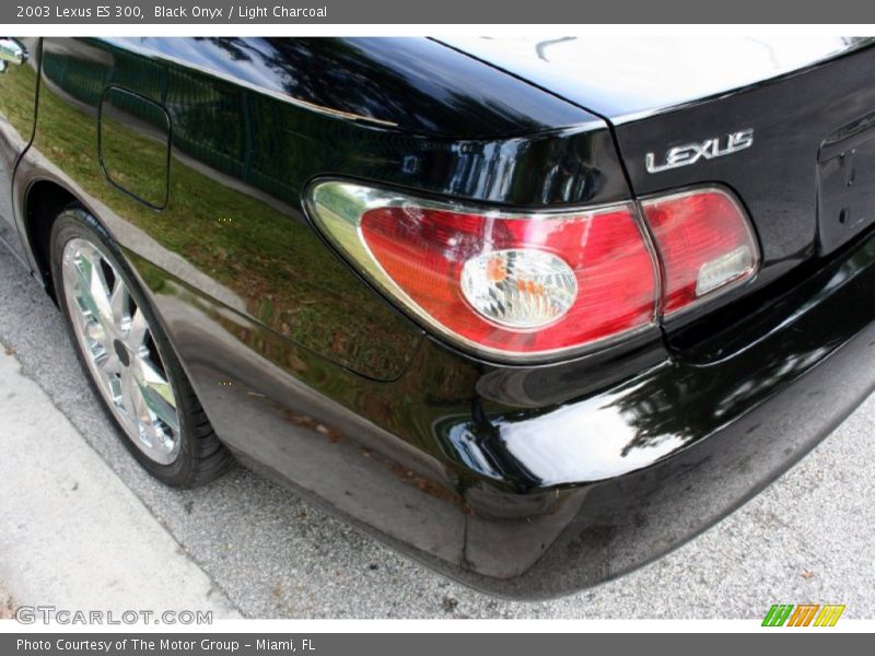 Black Onyx / Light Charcoal 2003 Lexus ES 300