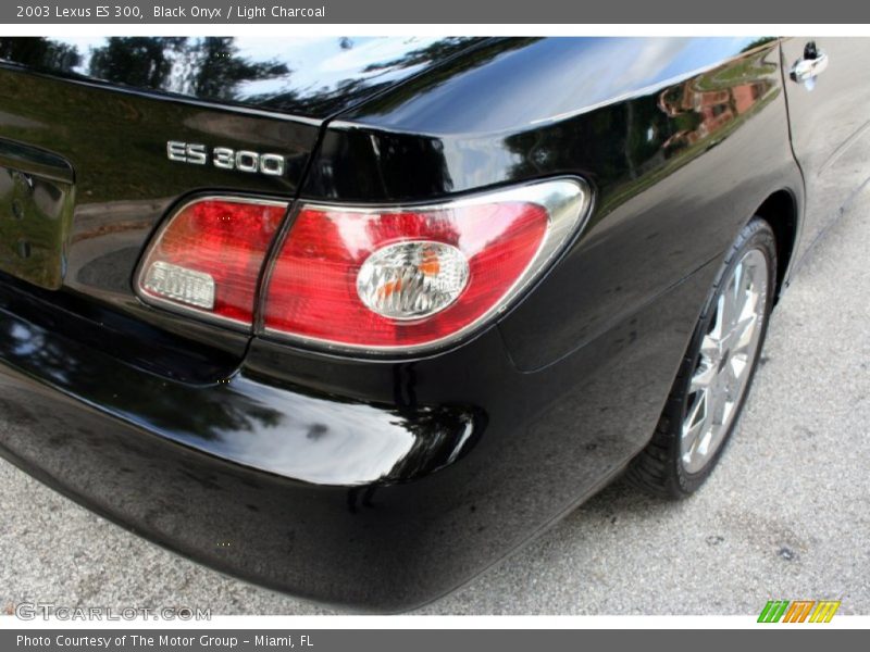 Black Onyx / Light Charcoal 2003 Lexus ES 300