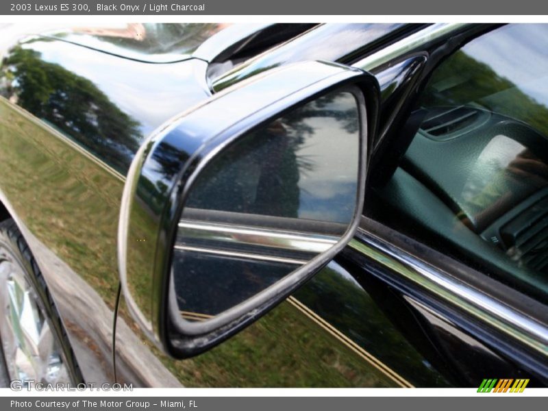 Black Onyx / Light Charcoal 2003 Lexus ES 300