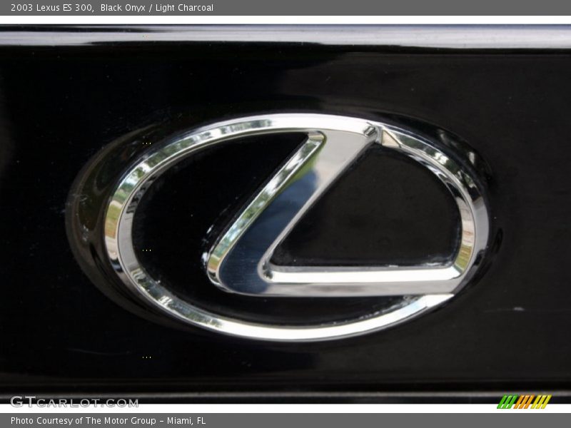 Black Onyx / Light Charcoal 2003 Lexus ES 300