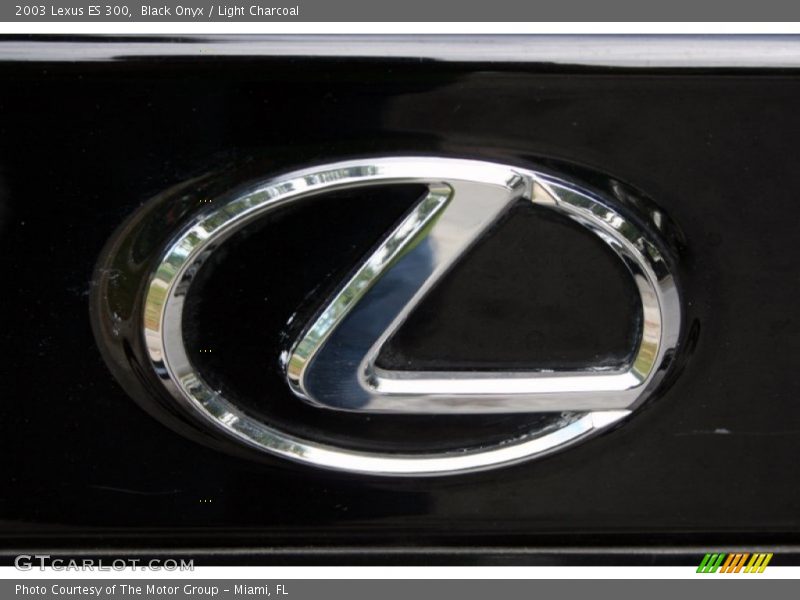 Black Onyx / Light Charcoal 2003 Lexus ES 300