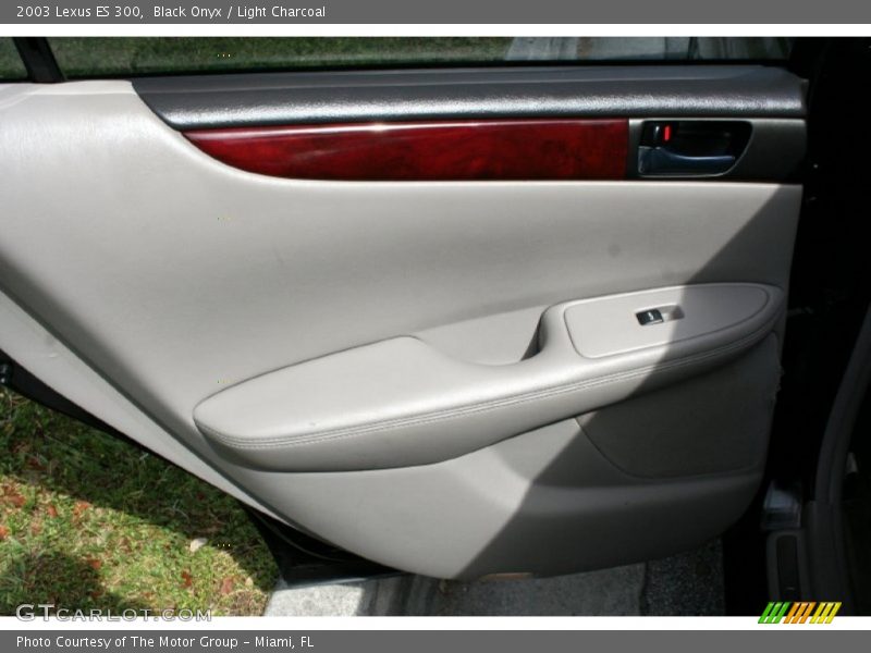 Black Onyx / Light Charcoal 2003 Lexus ES 300