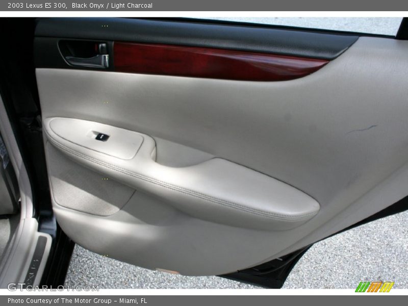Black Onyx / Light Charcoal 2003 Lexus ES 300