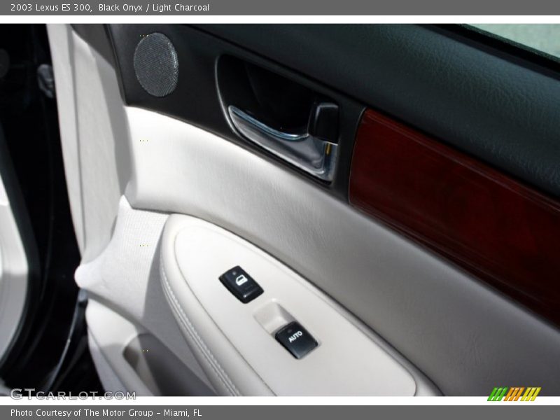Black Onyx / Light Charcoal 2003 Lexus ES 300