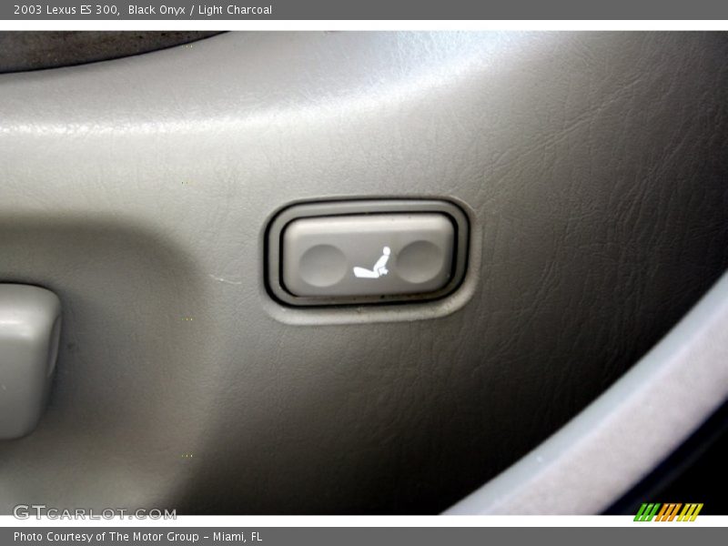 Black Onyx / Light Charcoal 2003 Lexus ES 300