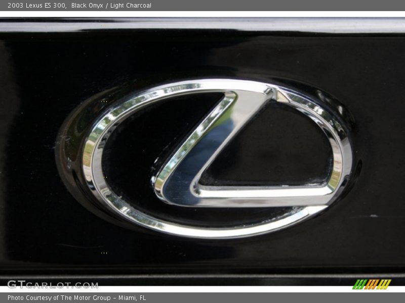 Black Onyx / Light Charcoal 2003 Lexus ES 300