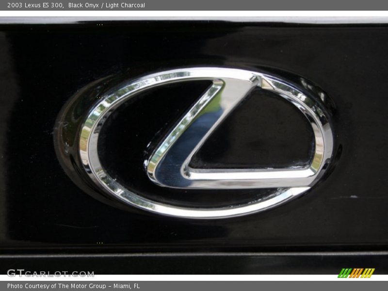 Black Onyx / Light Charcoal 2003 Lexus ES 300