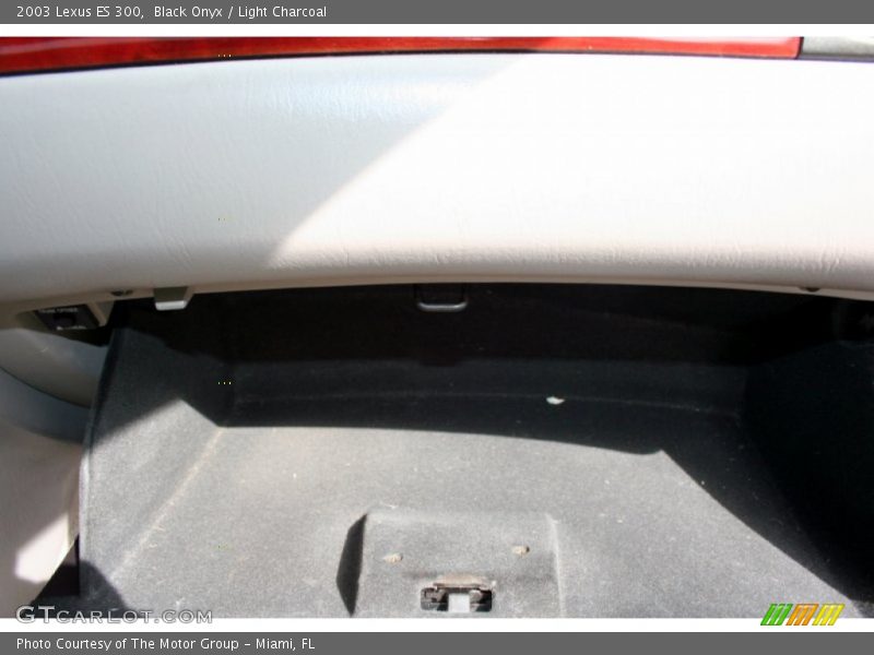 Black Onyx / Light Charcoal 2003 Lexus ES 300