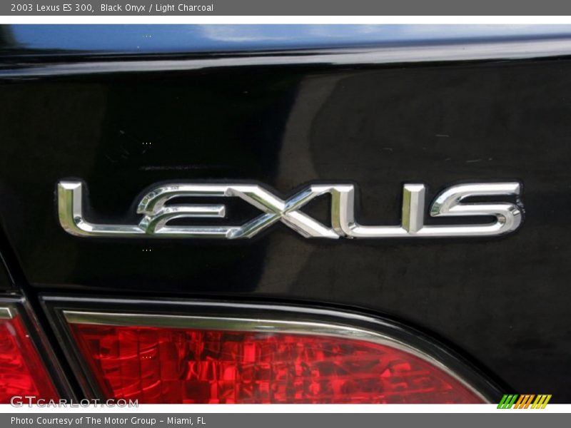 Black Onyx / Light Charcoal 2003 Lexus ES 300