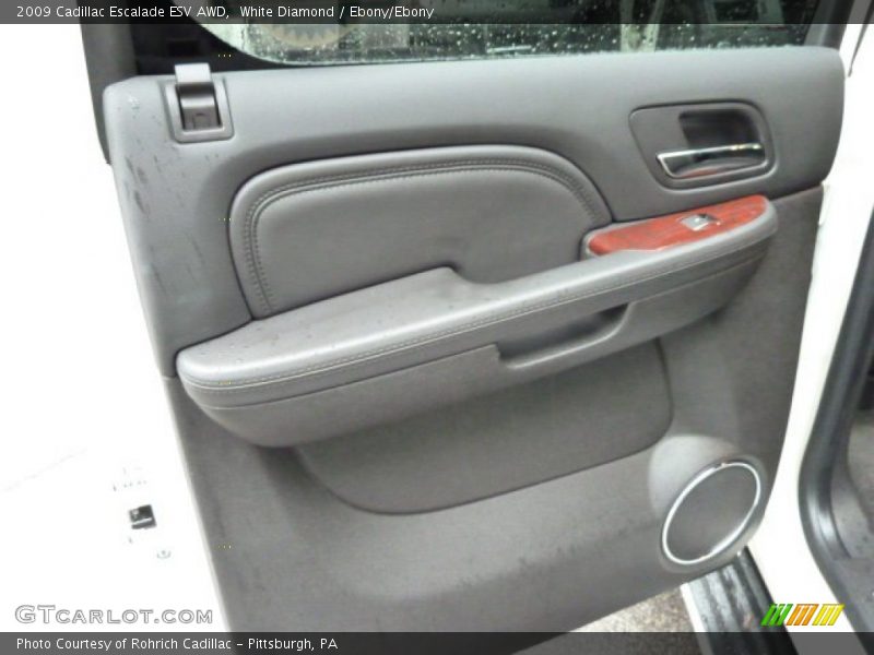 White Diamond / Ebony/Ebony 2009 Cadillac Escalade ESV AWD