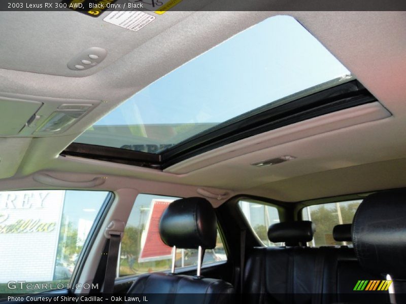 Black Onyx / Black 2003 Lexus RX 300 AWD