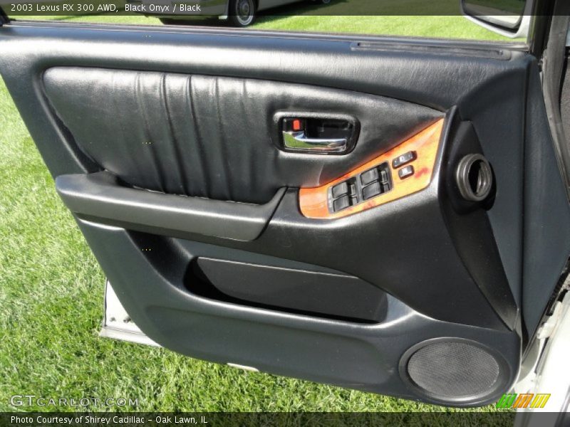 Black Onyx / Black 2003 Lexus RX 300 AWD