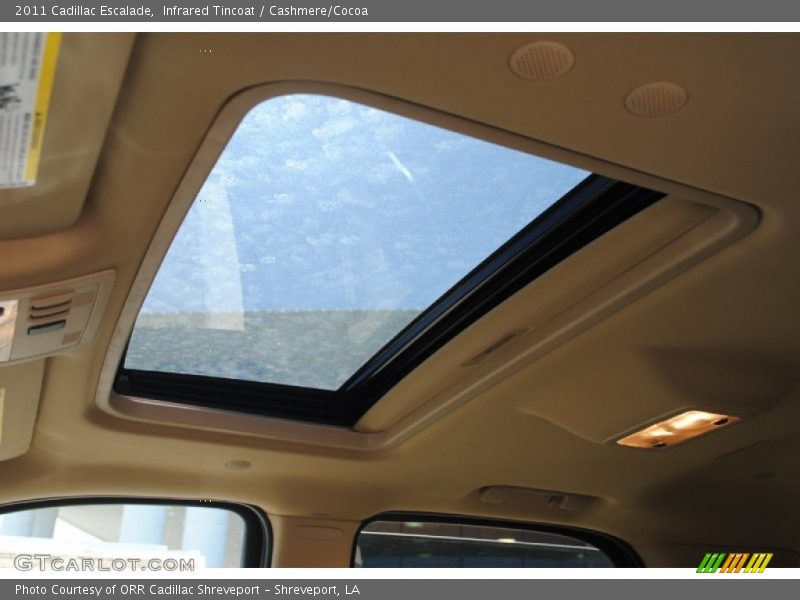 Infrared Tincoat / Cashmere/Cocoa 2011 Cadillac Escalade