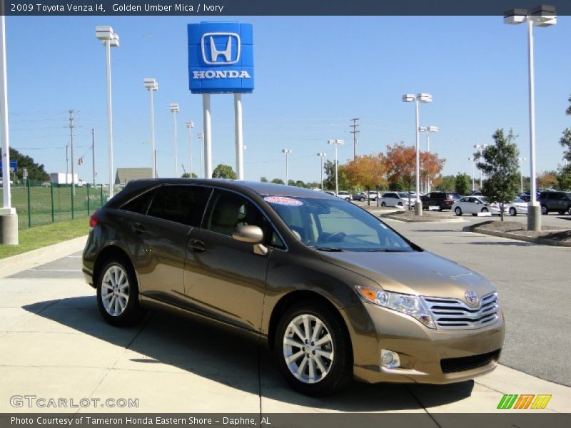 Golden Umber Mica / Ivory 2009 Toyota Venza I4