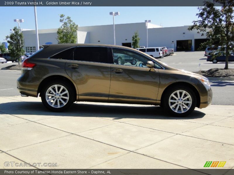Golden Umber Mica / Ivory 2009 Toyota Venza I4