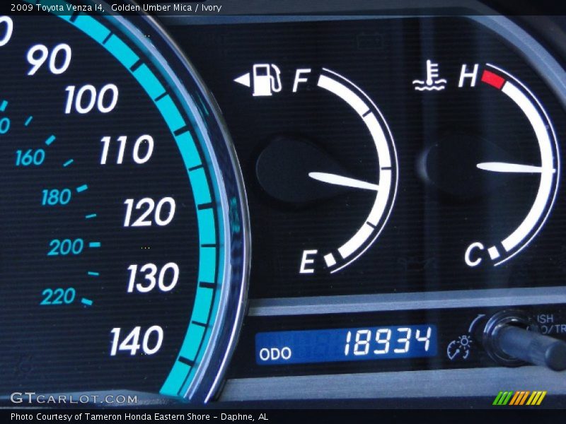 Golden Umber Mica / Ivory 2009 Toyota Venza I4