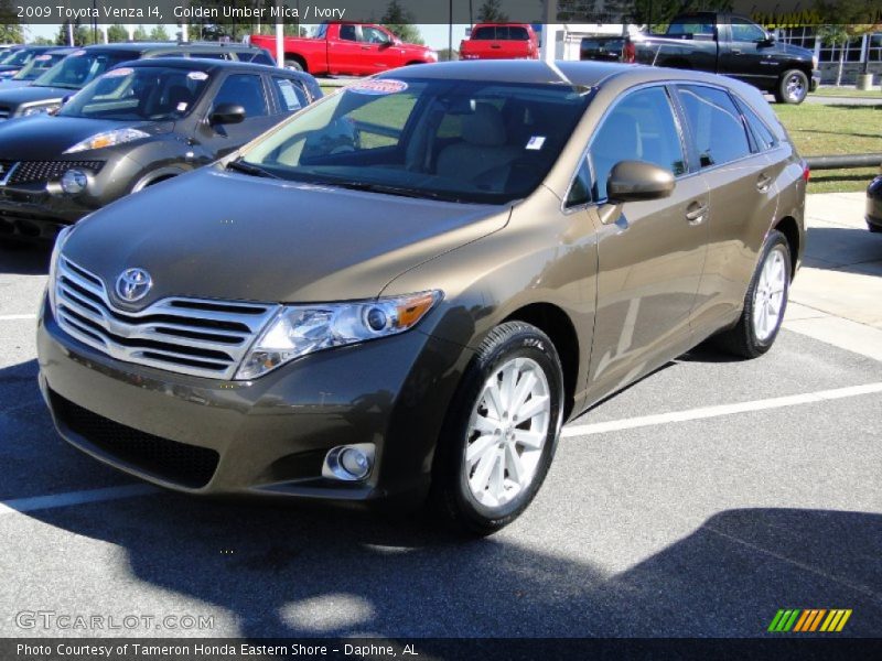 Golden Umber Mica / Ivory 2009 Toyota Venza I4