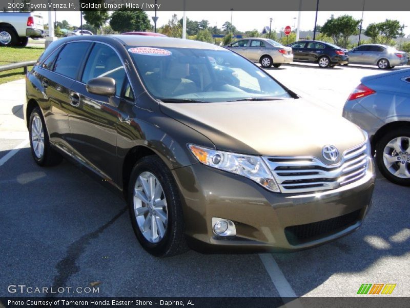Golden Umber Mica / Ivory 2009 Toyota Venza I4