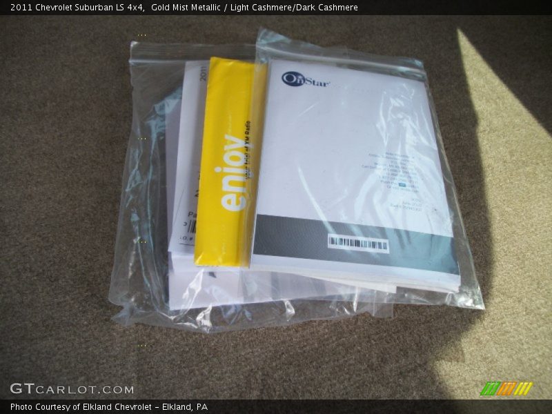 Gold Mist Metallic / Light Cashmere/Dark Cashmere 2011 Chevrolet Suburban LS 4x4