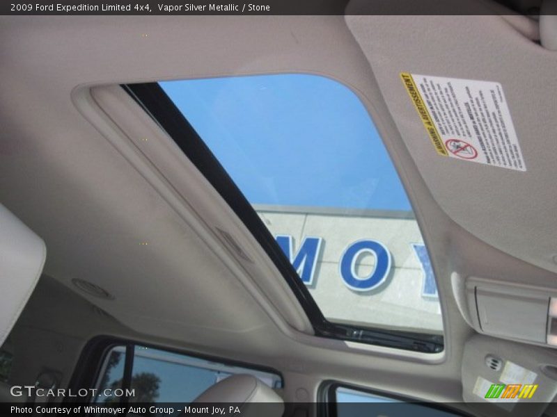 Vapor Silver Metallic / Stone 2009 Ford Expedition Limited 4x4