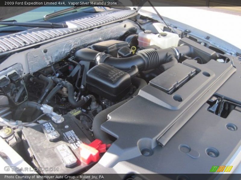 Vapor Silver Metallic / Stone 2009 Ford Expedition Limited 4x4