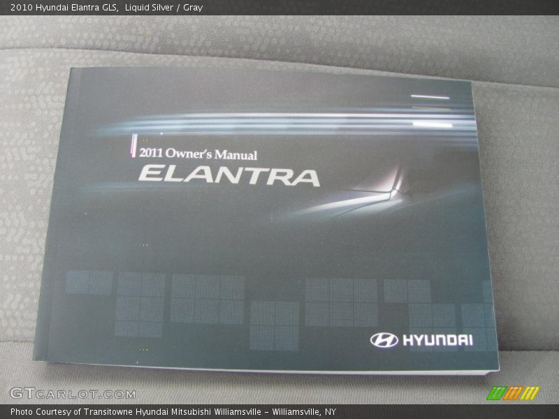 Liquid Silver / Gray 2010 Hyundai Elantra GLS