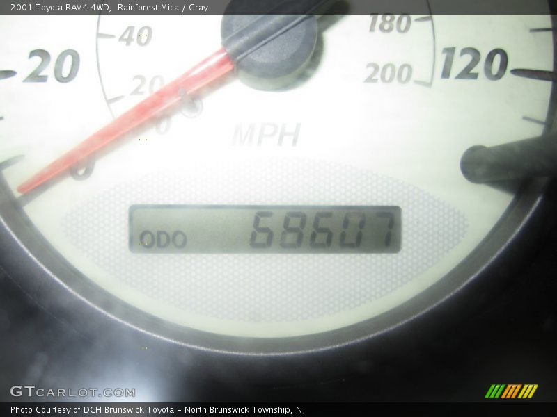 Rainforest Mica / Gray 2001 Toyota RAV4 4WD