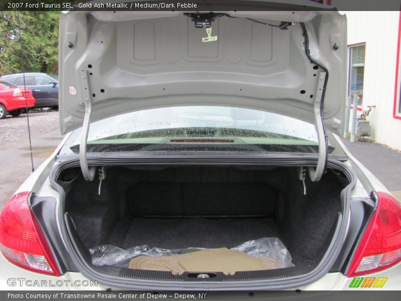 Gold Ash Metallic / Medium/Dark Pebble 2007 Ford Taurus SEL