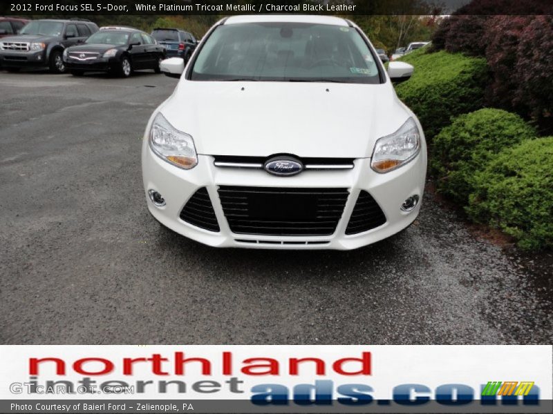White Platinum Tricoat Metallic / Charcoal Black Leather 2012 Ford Focus SEL 5-Door