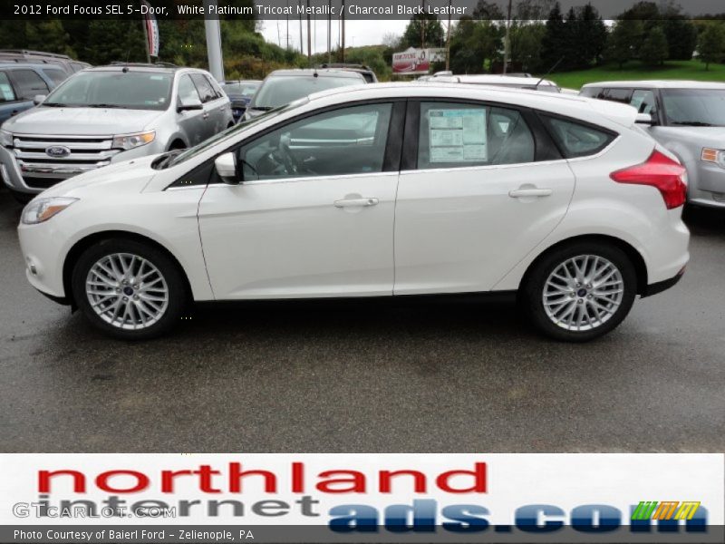 White Platinum Tricoat Metallic / Charcoal Black Leather 2012 Ford Focus SEL 5-Door
