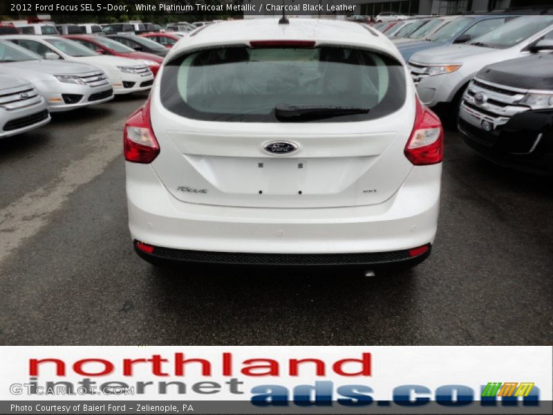 White Platinum Tricoat Metallic / Charcoal Black Leather 2012 Ford Focus SEL 5-Door