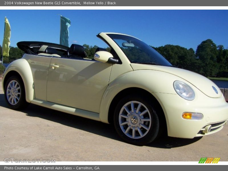 Mellow Yello / Black 2004 Volkswagen New Beetle GLS Convertible