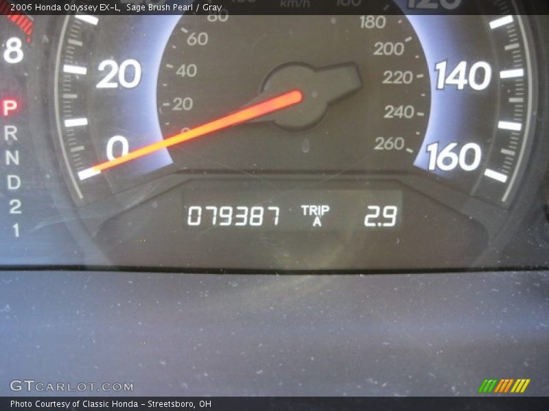 Sage Brush Pearl / Gray 2006 Honda Odyssey EX-L