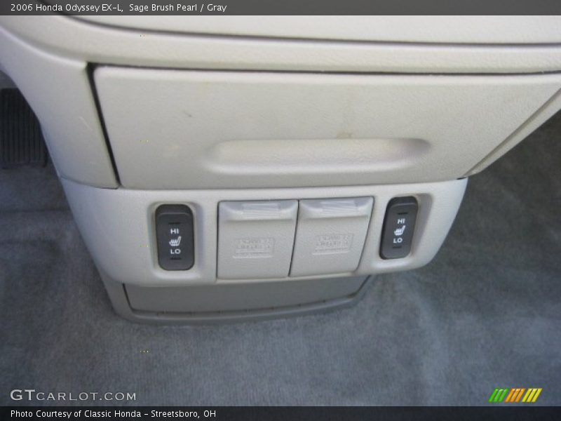Sage Brush Pearl / Gray 2006 Honda Odyssey EX-L