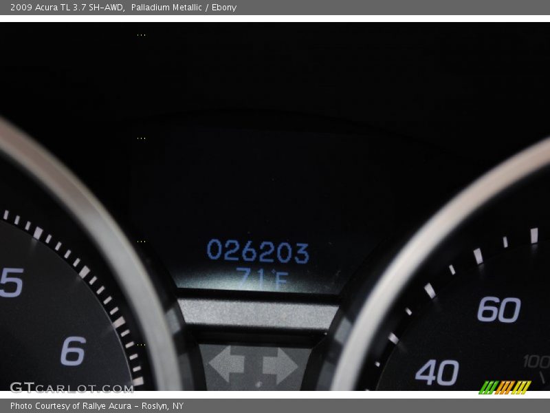 Palladium Metallic / Ebony 2009 Acura TL 3.7 SH-AWD