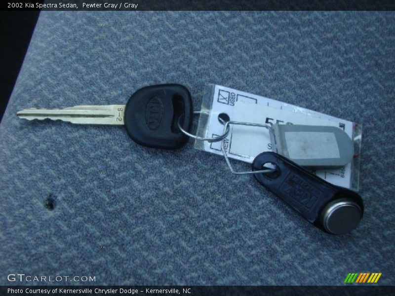 Pewter Gray / Gray 2002 Kia Spectra Sedan