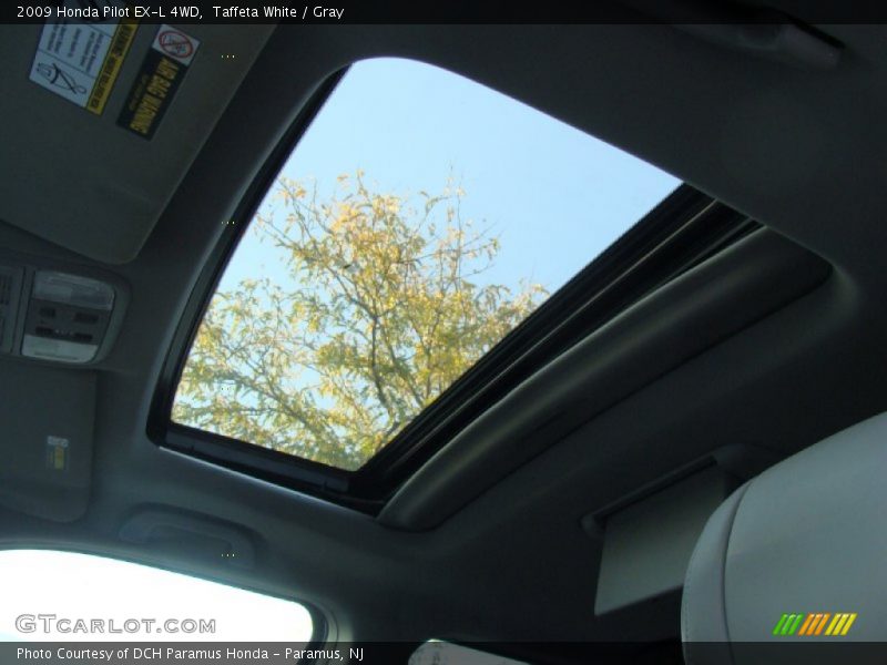 Taffeta White / Gray 2009 Honda Pilot EX-L 4WD