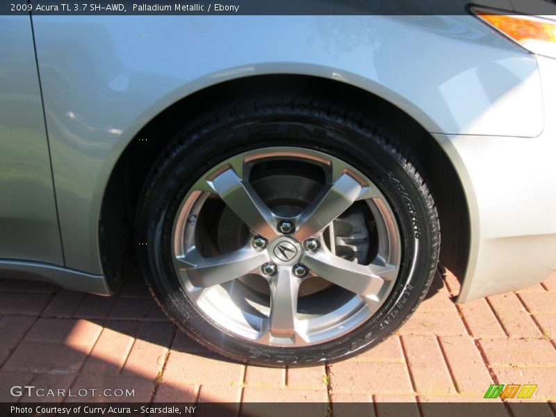 Palladium Metallic / Ebony 2009 Acura TL 3.7 SH-AWD